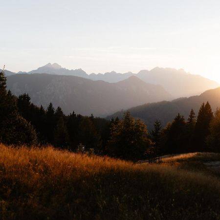 Alpine Cottage Golica Jesenice Esterno foto