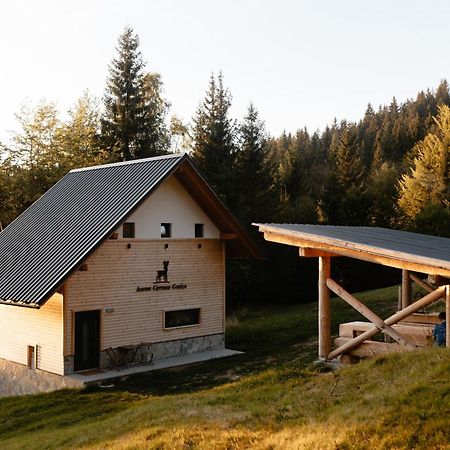 Alpine Cottage Golica Jesenice Esterno foto