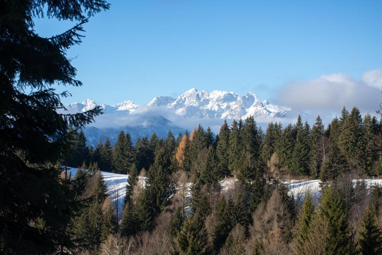 Alpine Cottage Golica Jesenice Esterno foto