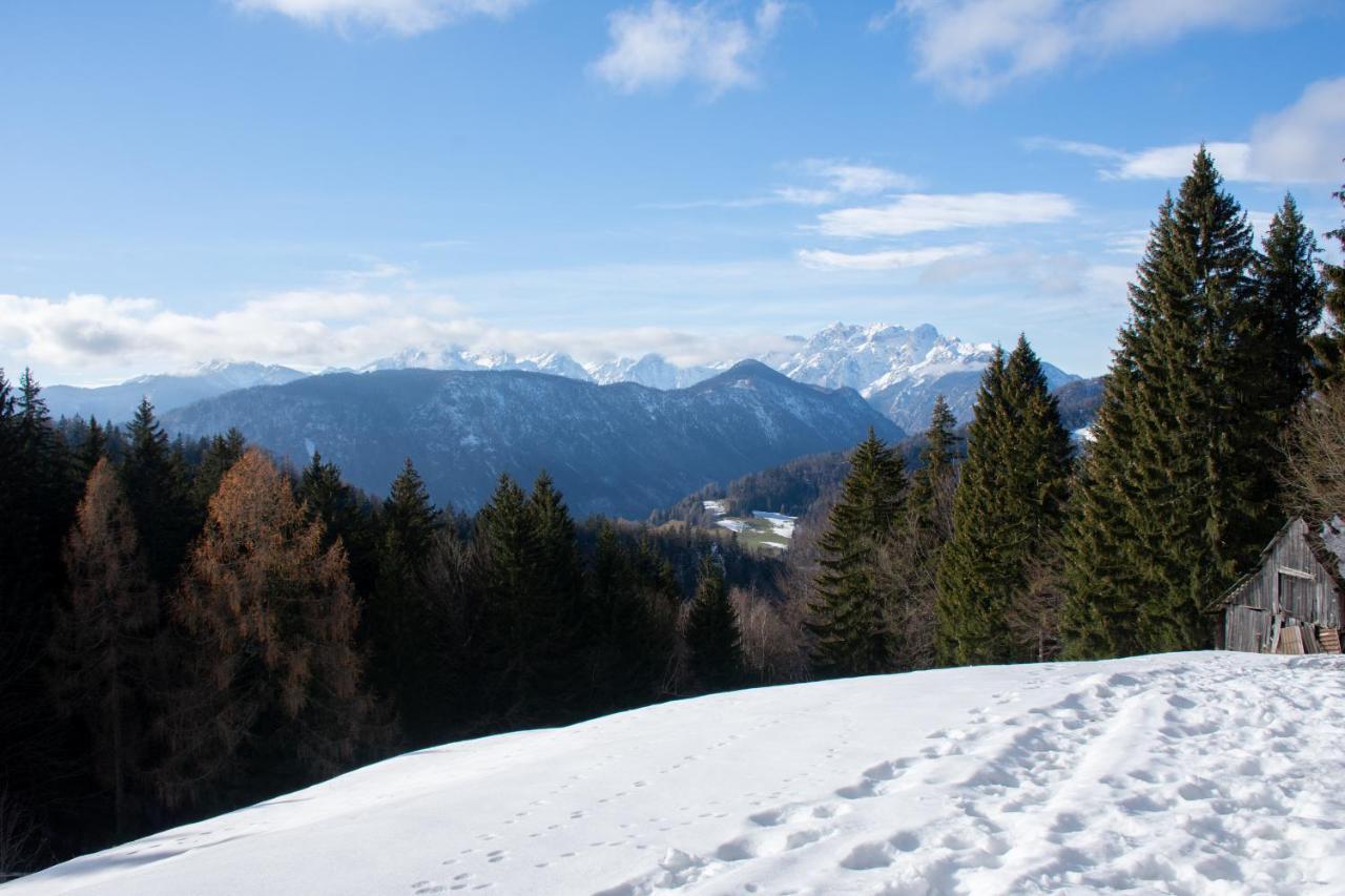 Alpine Cottage Golica Jesenice Esterno foto