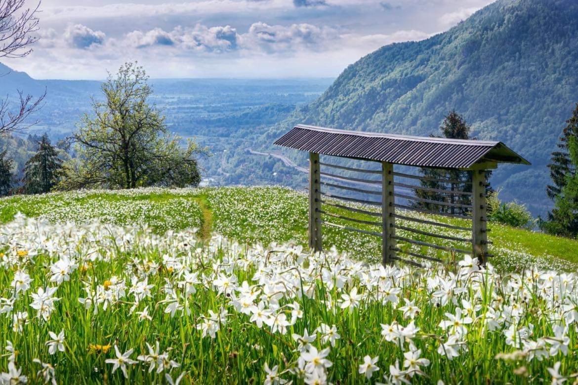 Alpine Cottage Golica Jesenice Esterno foto